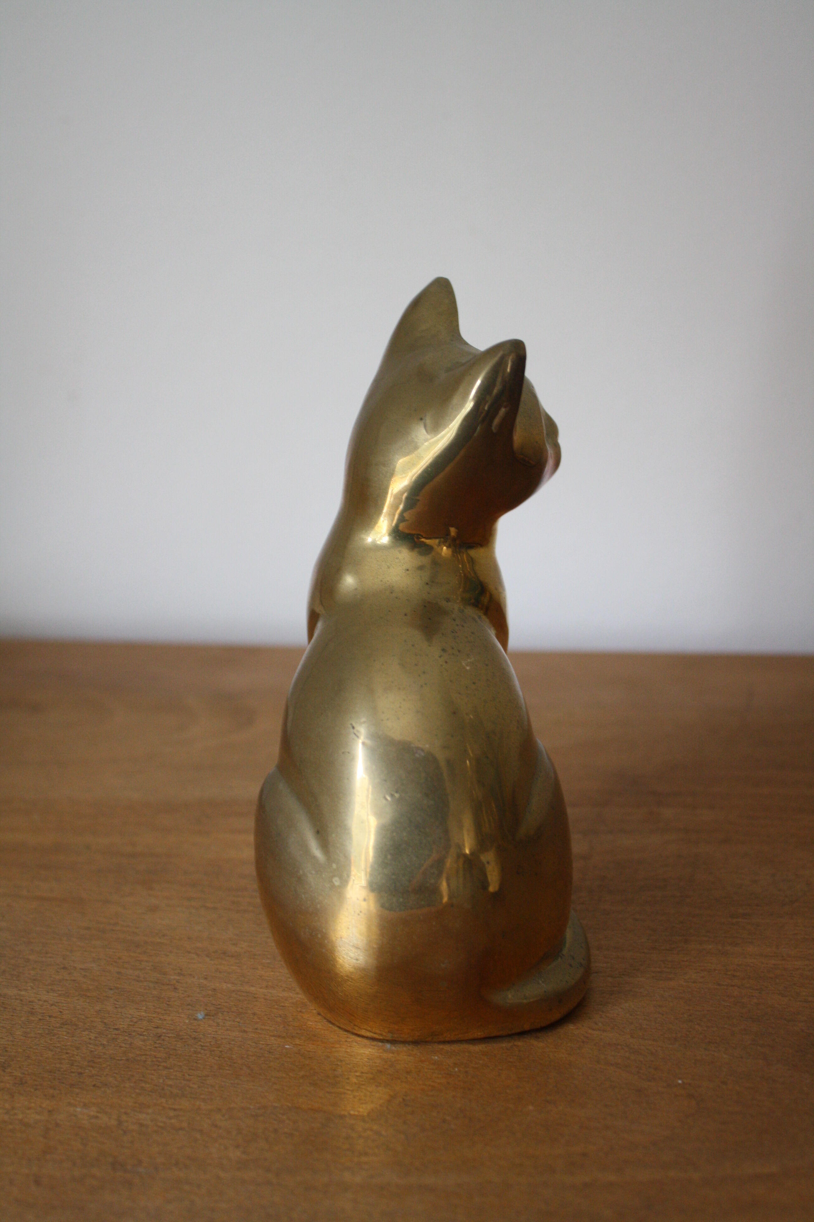 Cat sitting in brass