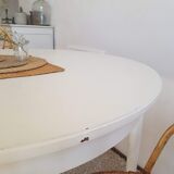 Scandinavian extendable table with butterfly extensions