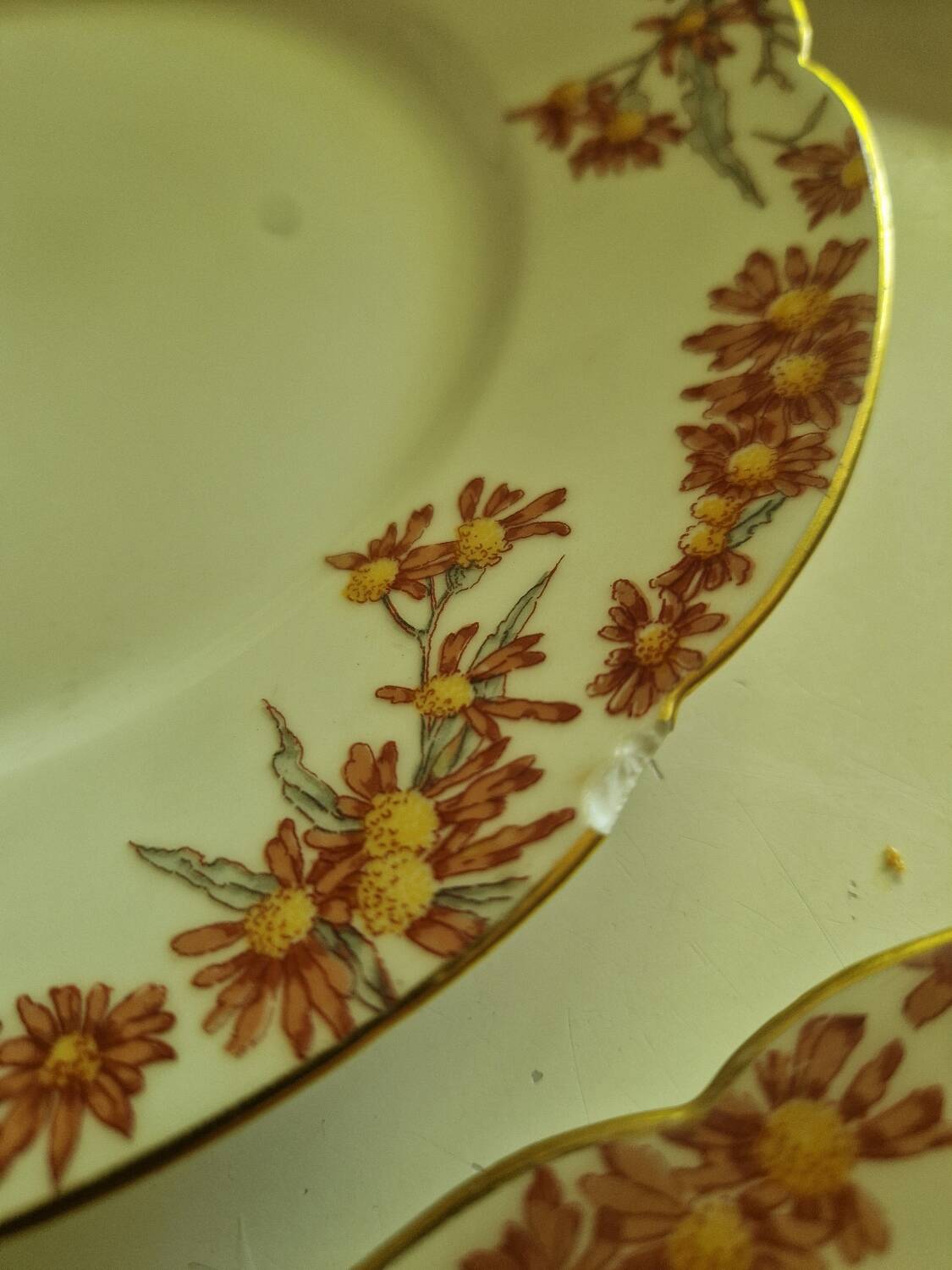 Lot of 11 Porcelain Dinner Plates Plus Presentation Dish Manufactured