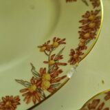 Lot of 11 Porcelain Dinner Plates Plus Presentation Dish Manufactured