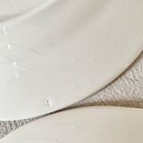 English dessert plate