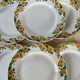 Set of 6 vintage buttercup model plates from Sarreguemines