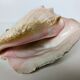 Pink shell, conch, stombus gigas, pink conch