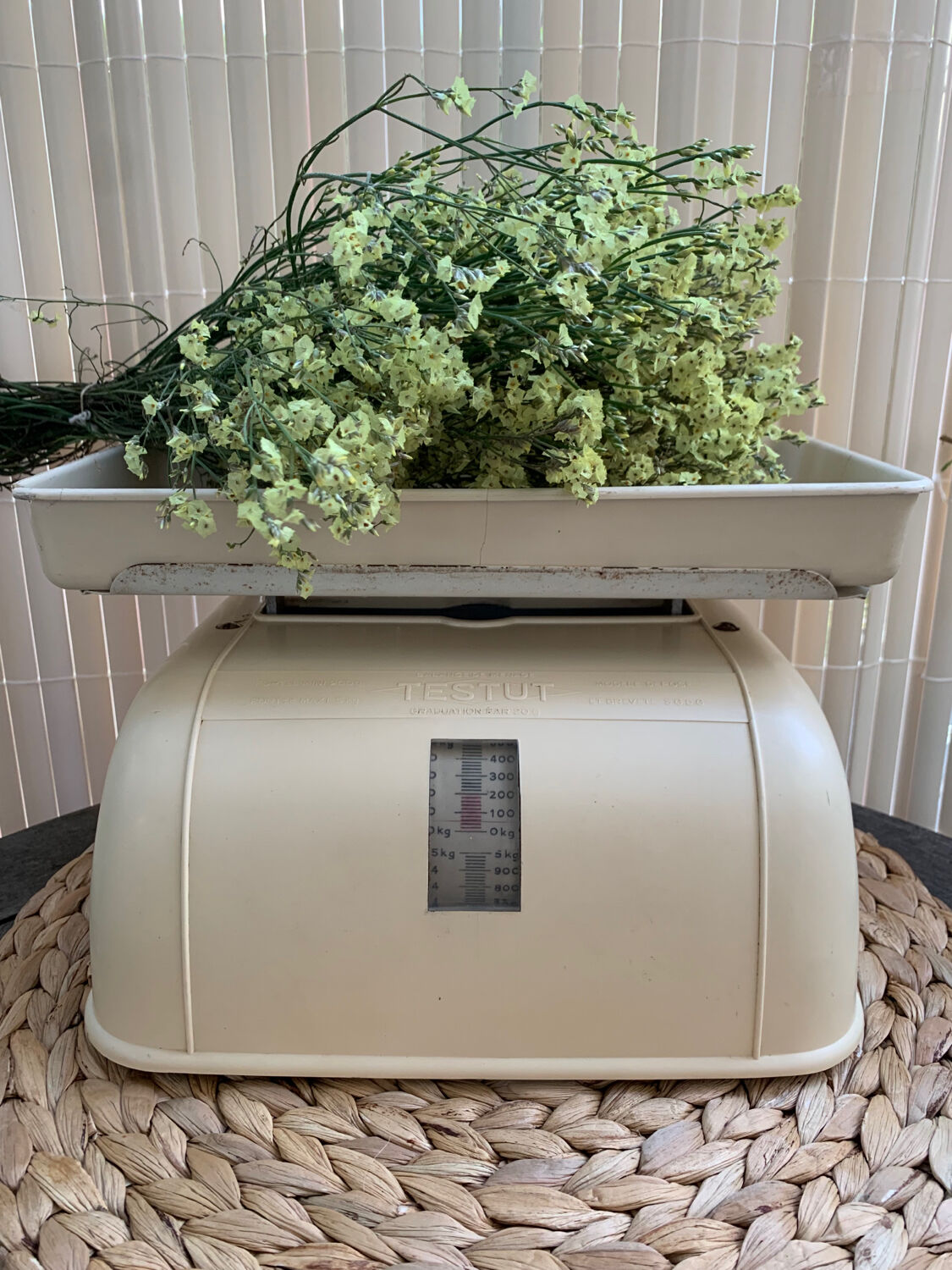 Testut household balance