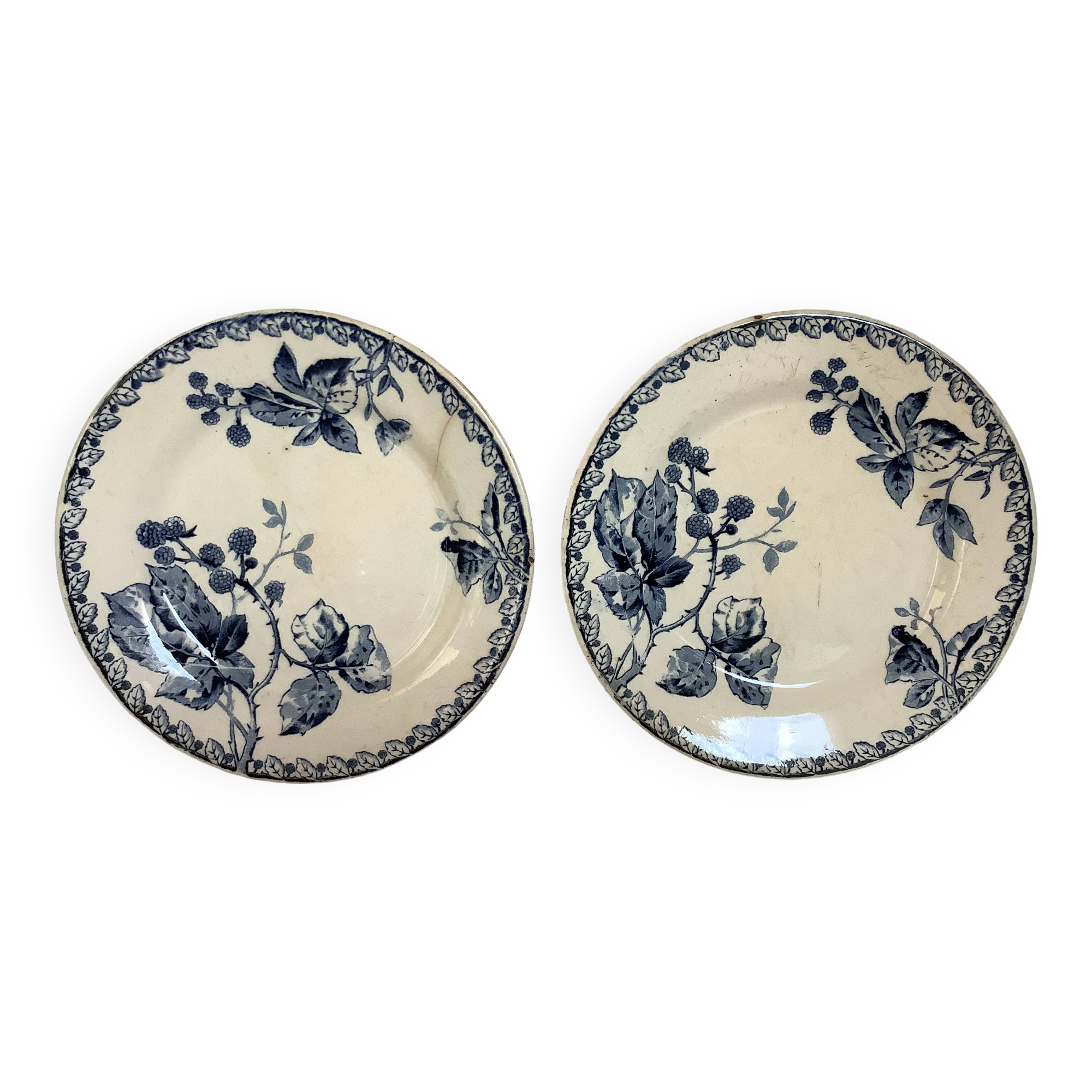 Pair of old mature ironstone plates