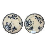 Pair of old mature ironstone plates