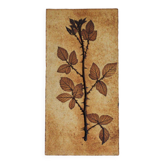 Vallauris herbarium ceramic plate