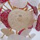 Murano Glass and Brass Sputnik Chandelier Cherry Red, White and Champagne