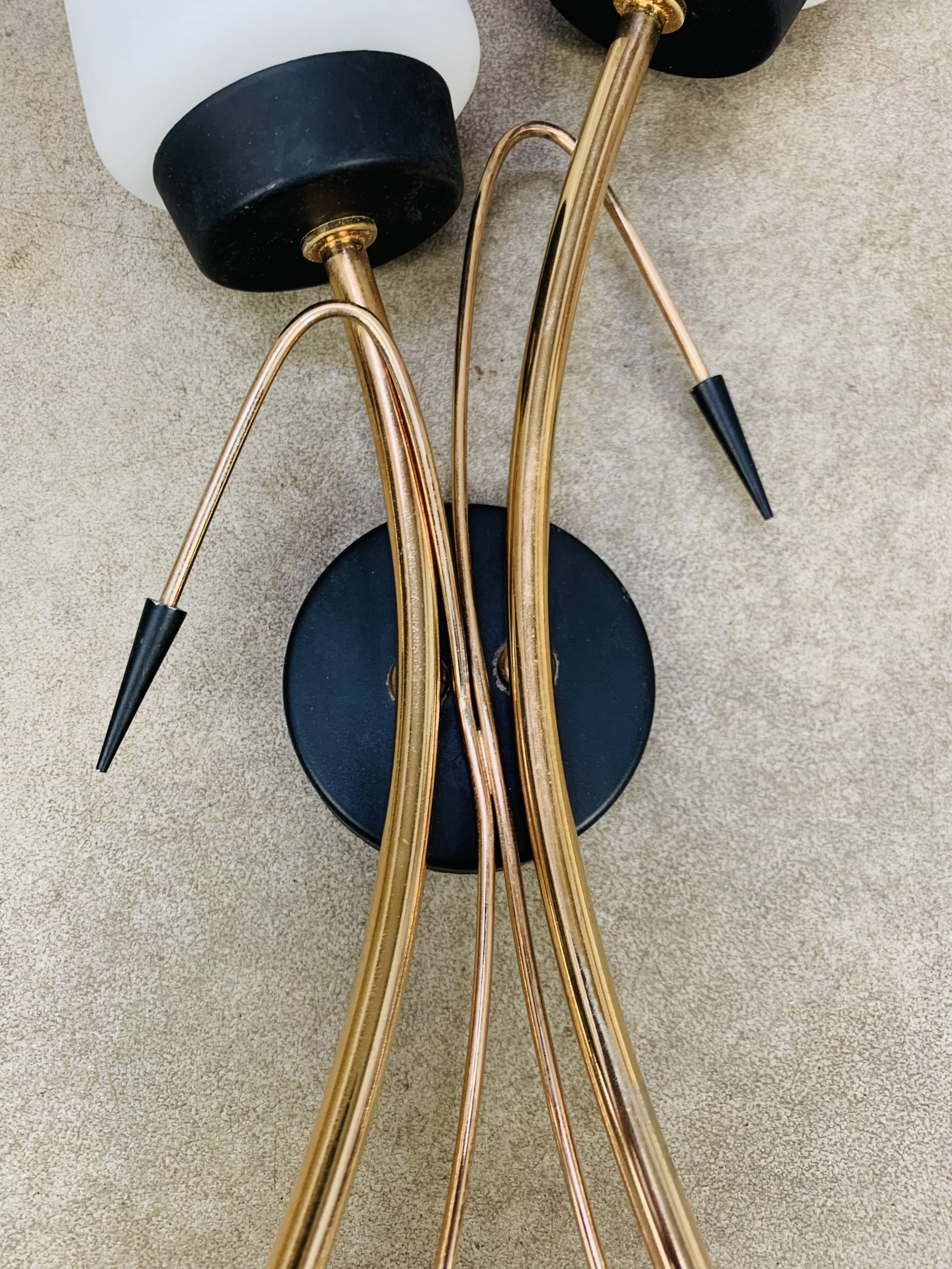 Pair of 1950s wall lights, opaline and brass tulips, Lunel Arlus