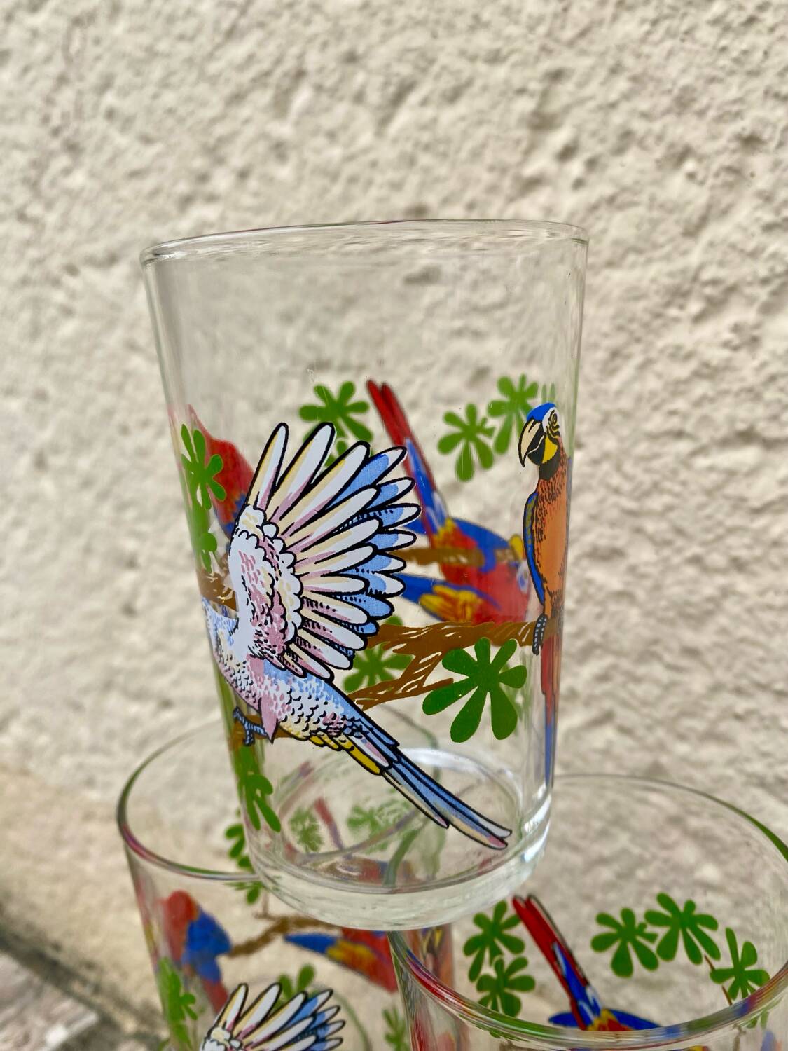 Six vintage parakeet glasses