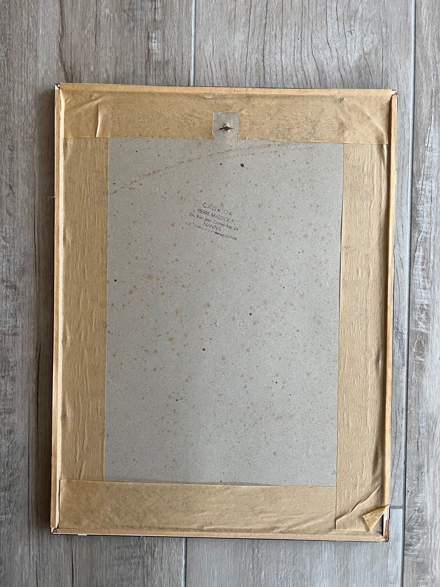 Framed bird engraving