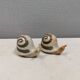 Ceramic snails as salt and pepper shakers, Denmark, 1970s-1980s