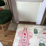Ancienne affiche de sciences Rossignol anatomie et médecine
