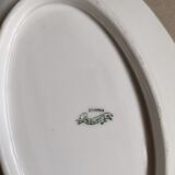Saucer