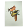 Old bird plate from the 1960s - Red Crossbill - Animal zoological illustration