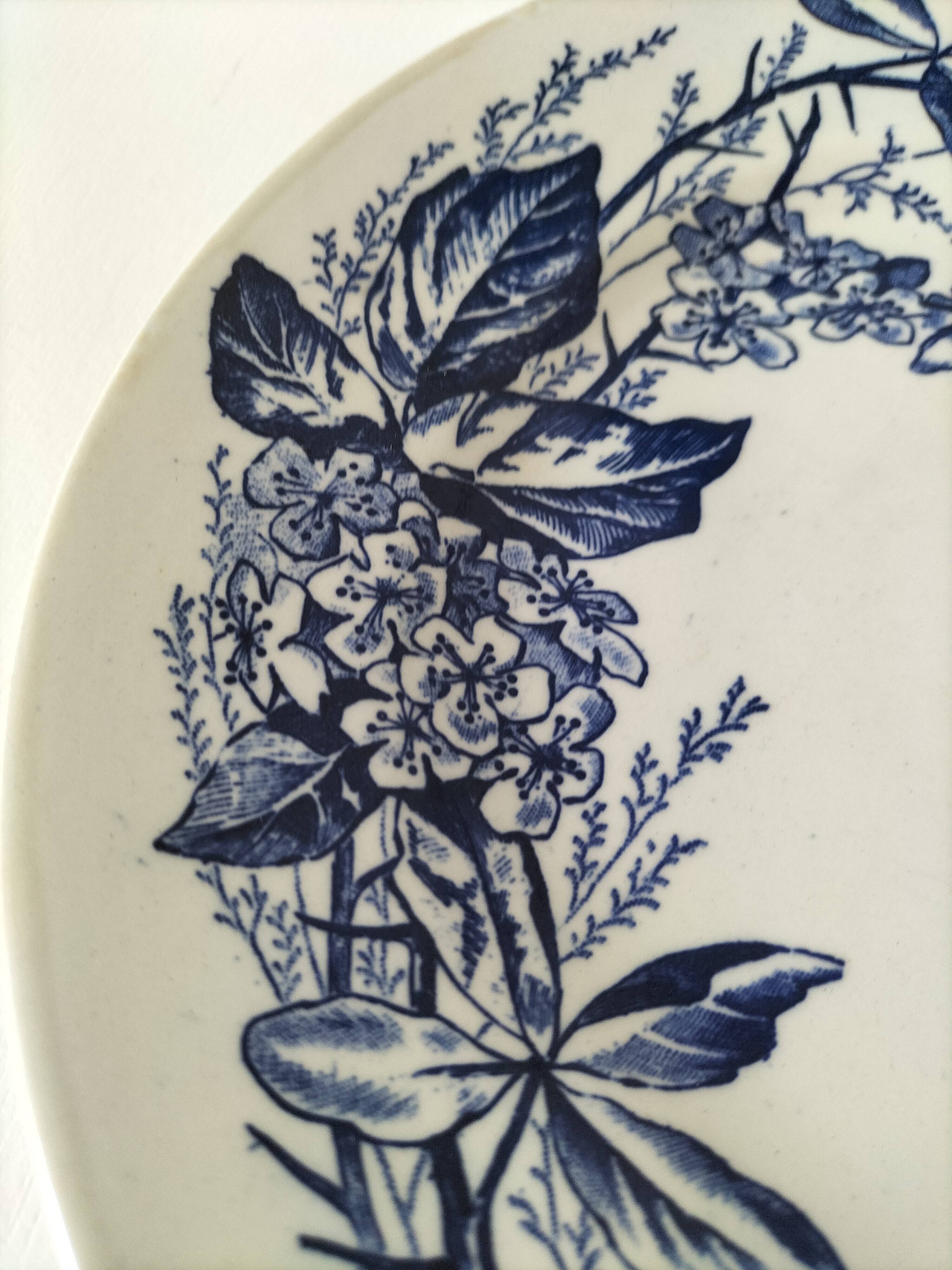 Pair of Longchamp plates 1880-1900 – Rare naturalistic floral decoration