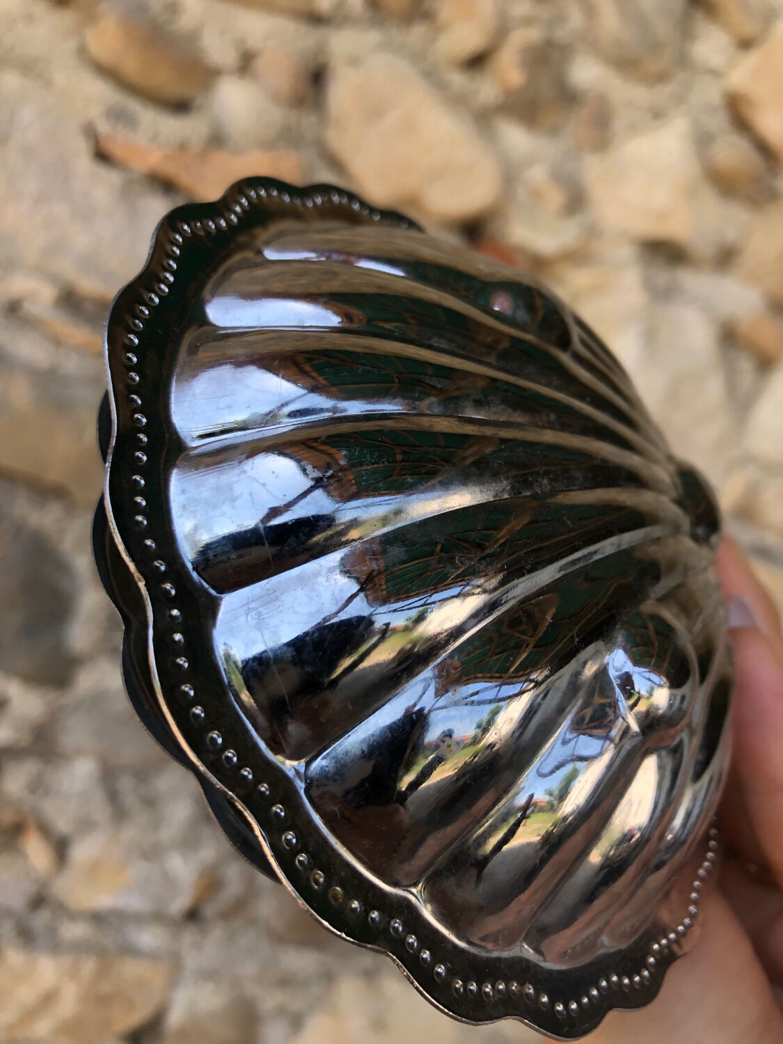 Butter dish/pocket tray • shell, vintage