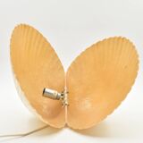 Lamp shell Saint Jacques fiber