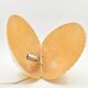 Lampe coquille Saint Jacques fibre