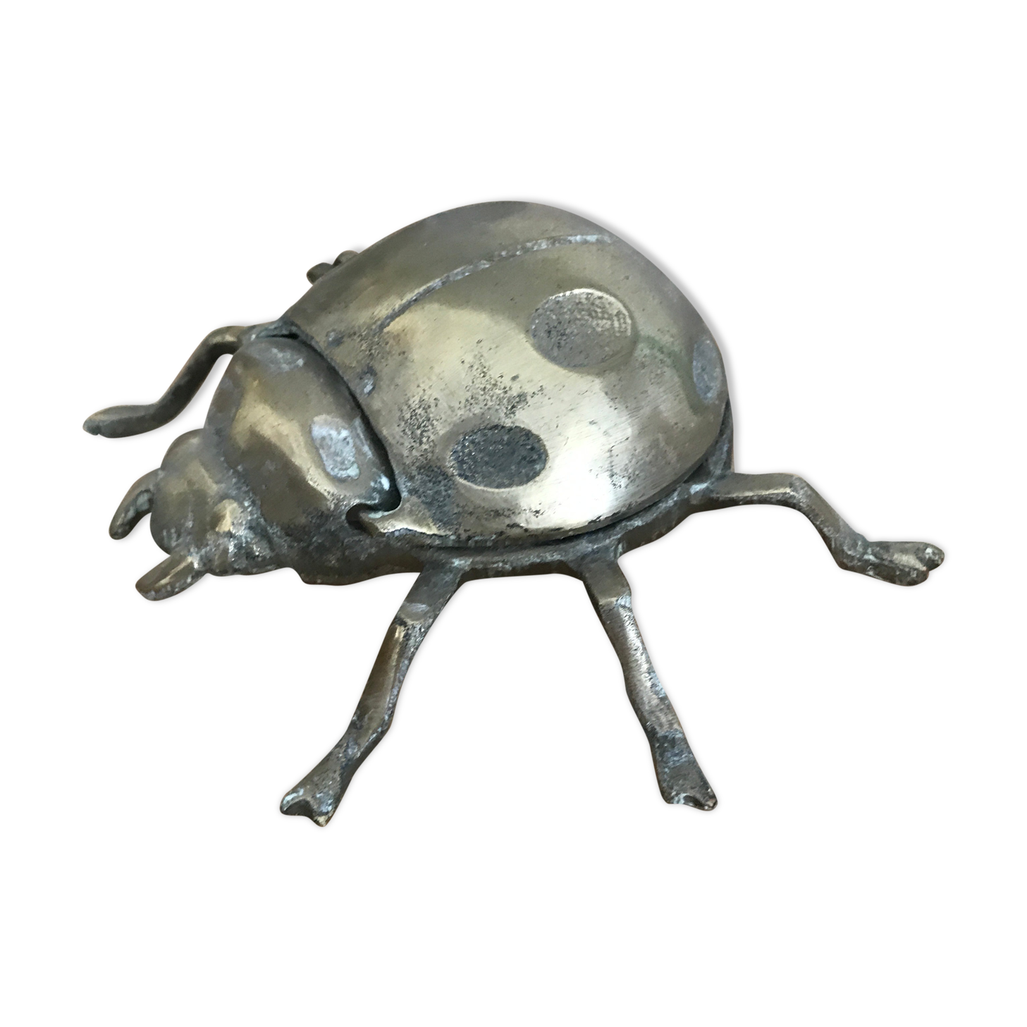 Brass Beetle