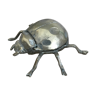 Brass Beetle