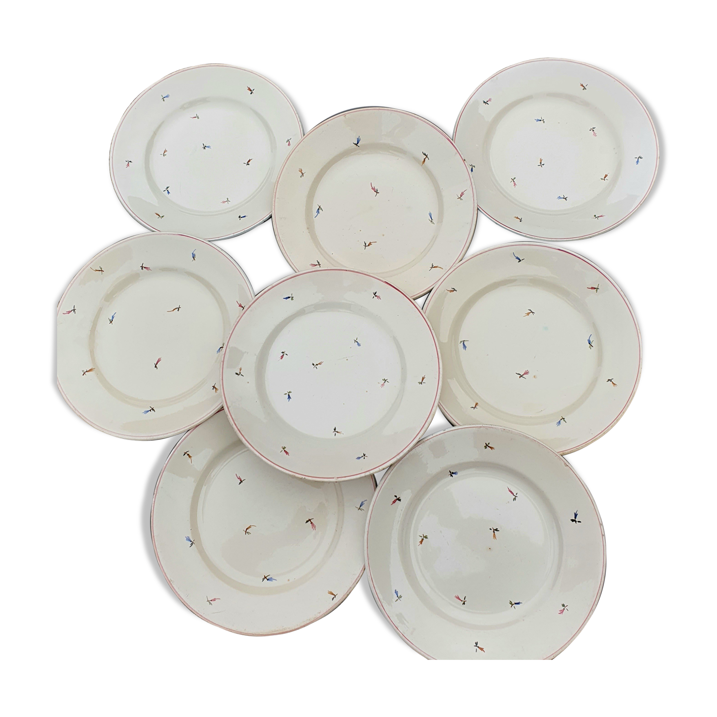 8 flat plates with earthenware seedings of multicolored florets