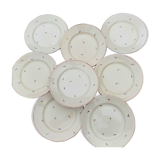 8 flat plates with earthenware seedings of multicolored florets
