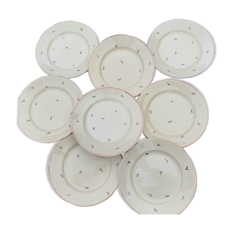 8 flat plates with earthenware seedings of multicolored florets