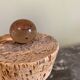 Biot bubble glass candy dish