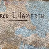Tableau Aquarelle signée Andrée Chameron (1894- 1985)