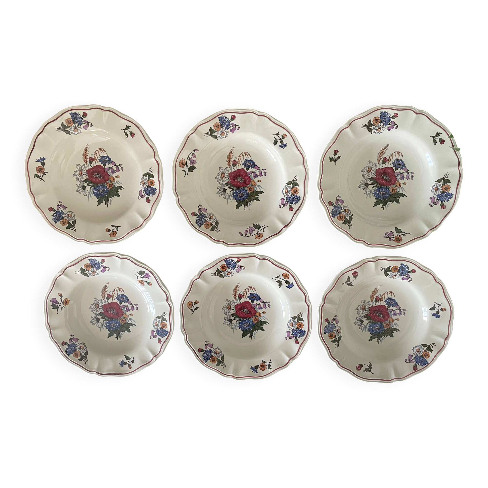 6 antique deep plates in Sarreguemines earthenware