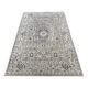Oriental style rug