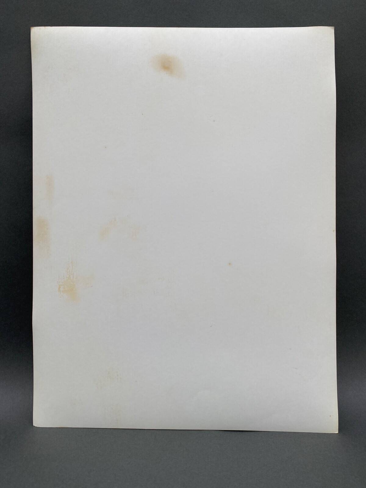 Silver gelatin photograph by Bernard Darot, Dead Tree, 20th century