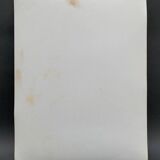 Silver gelatin photograph by Bernard Darot, Dead Tree, 20th century