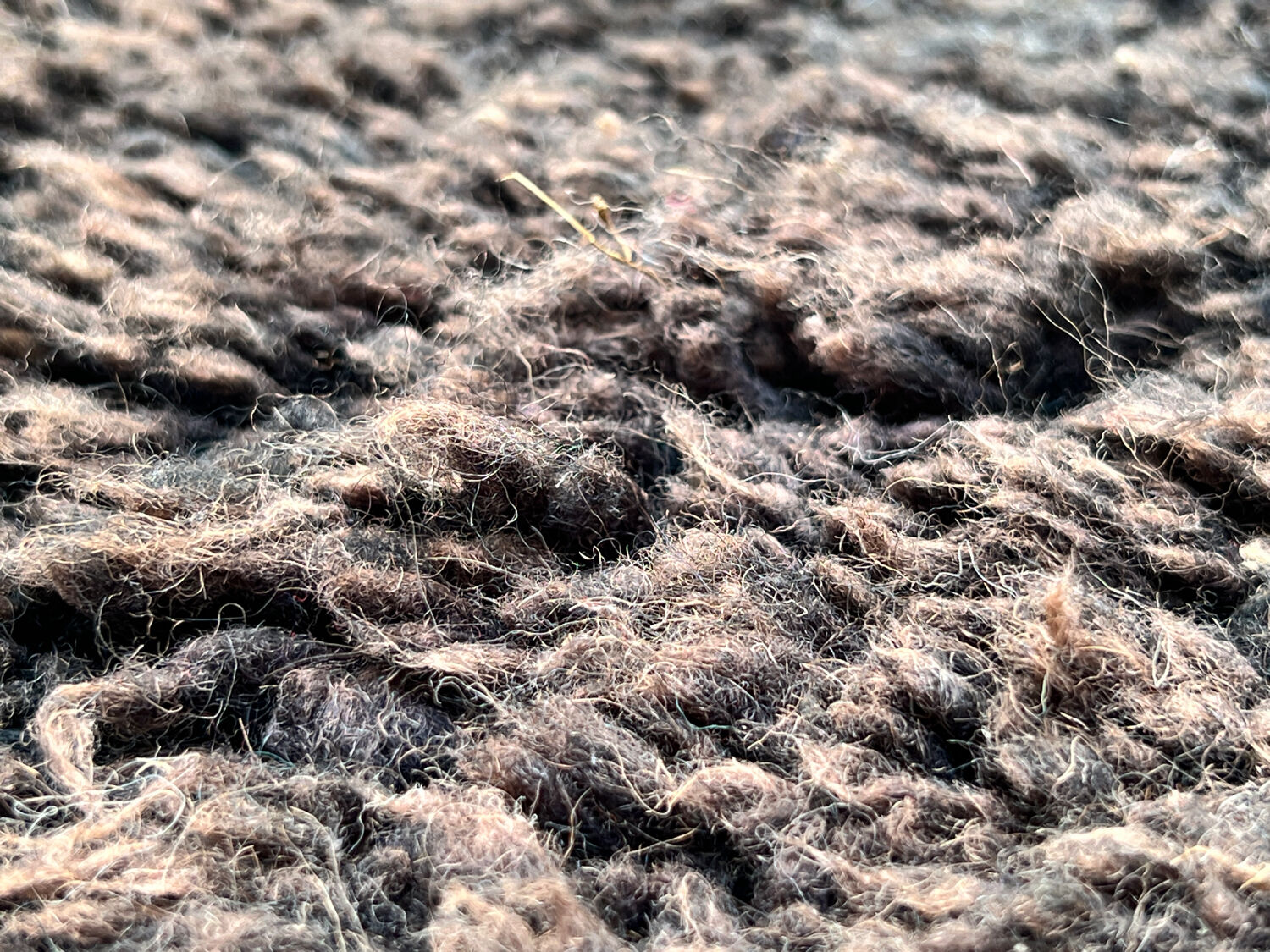 Ancient Berber rug in ecru and black violet, 100% pure virgin wool.