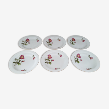 Lot de 6 assiettes creuses années 50 en porcelaine blanche décor roses fuchsia liseré doré