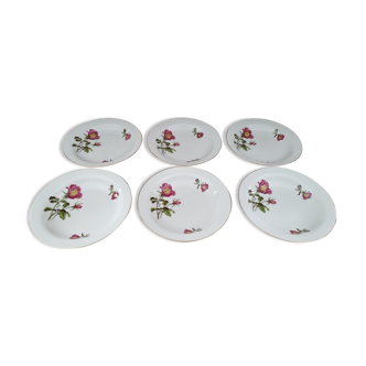 Lot de 6 assiettes creuses années 50 en porcelaine blanche décor roses fuchsia liseré doré