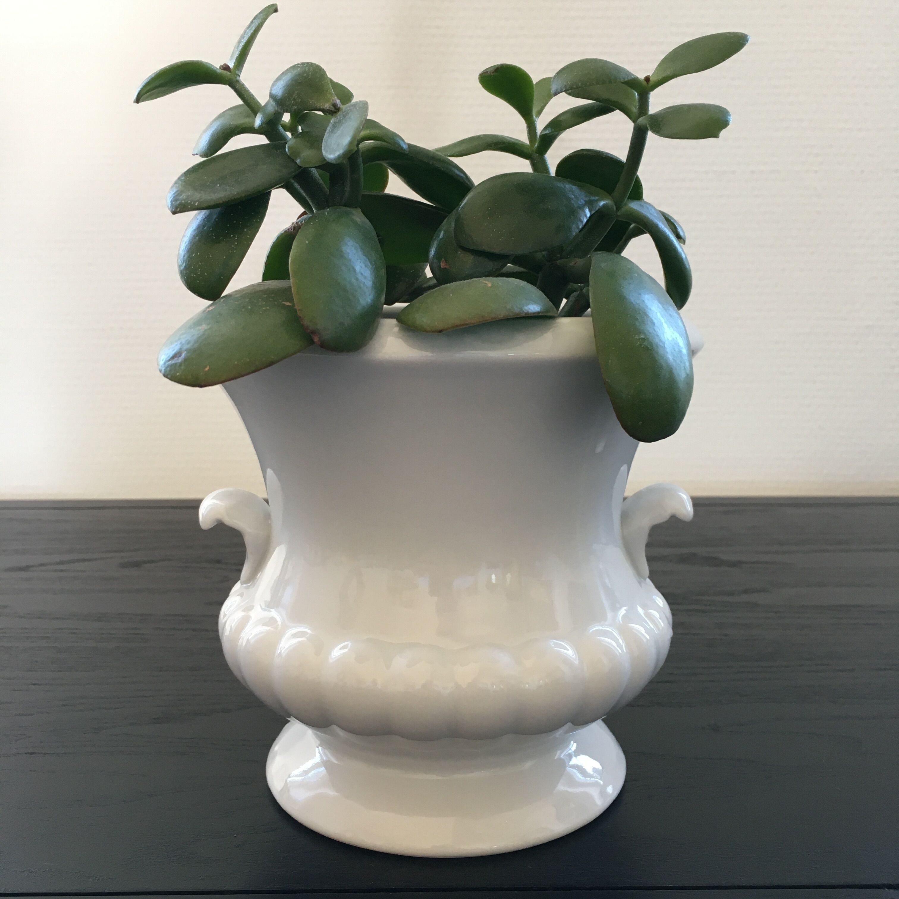 Medici style white pot cover