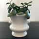 Medici style white pot cover