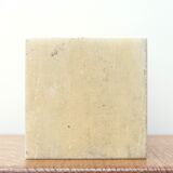 Bust of David by Michelangelo, 50s