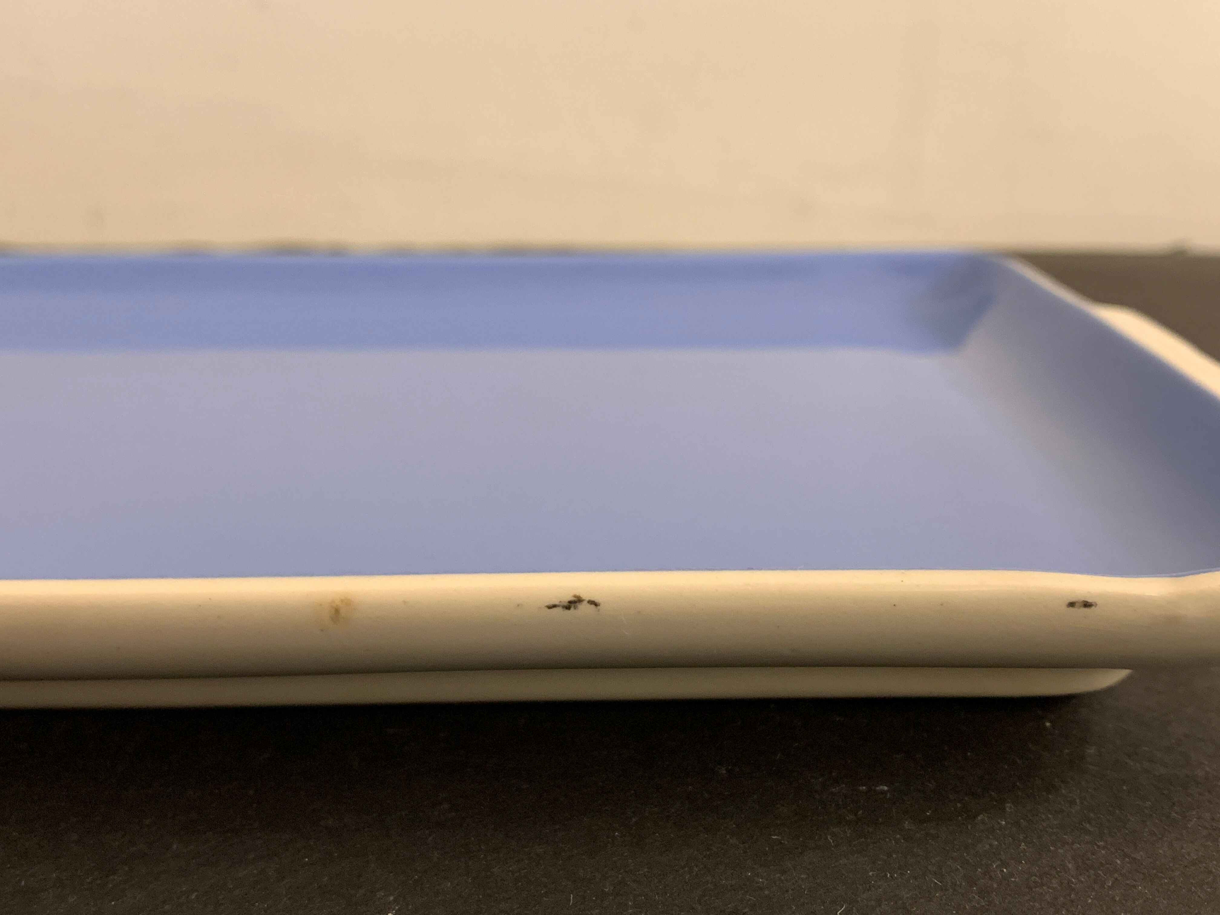 Villeroy and Boch 1950 blue earthenware cake dish