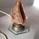 Old shell-shaped night lamp carved in cameo, Art Deco.