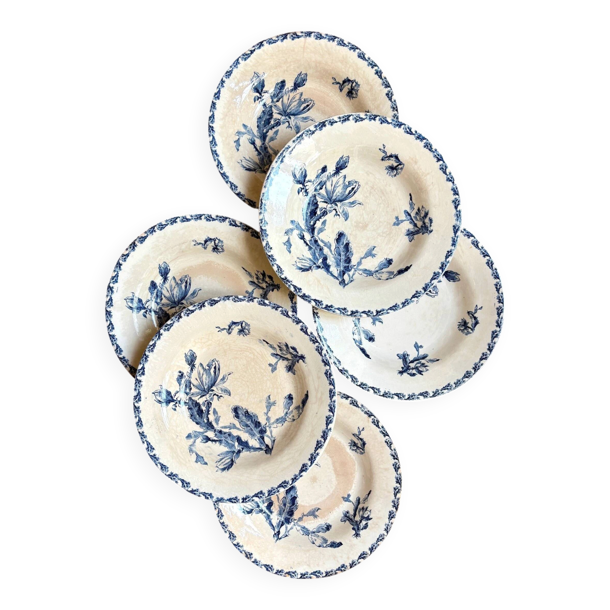 6 deep plates Gien in blue ironstone, "Cactus" service.