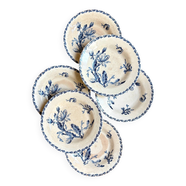 6 assiettes creuses Gien en terre de fer bleue, service ''Cactus