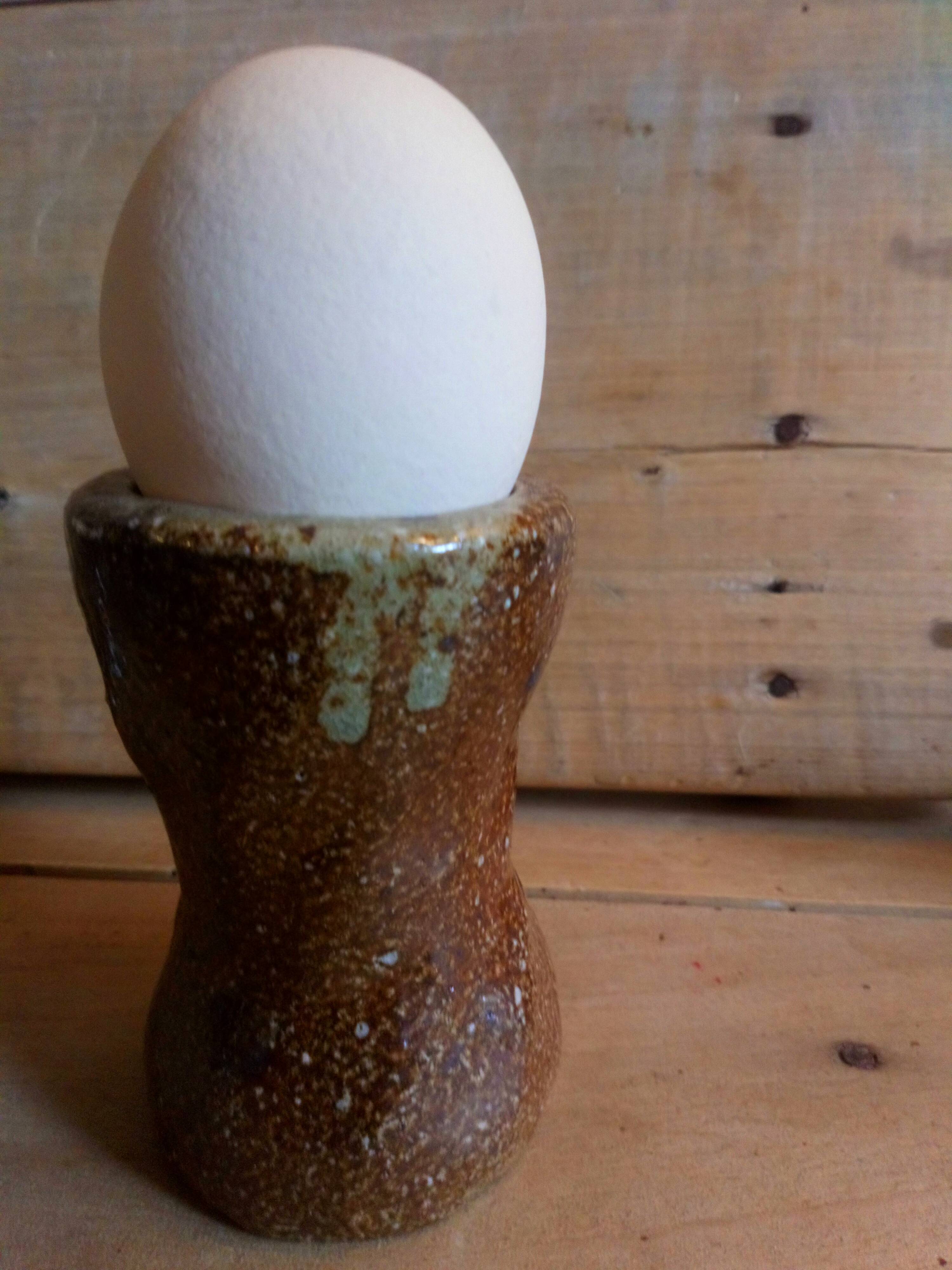 Four popular art cockroaches in heavy