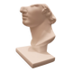 Plaster head