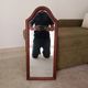 Miroir vintage style Louis Philippe/Queen Anne