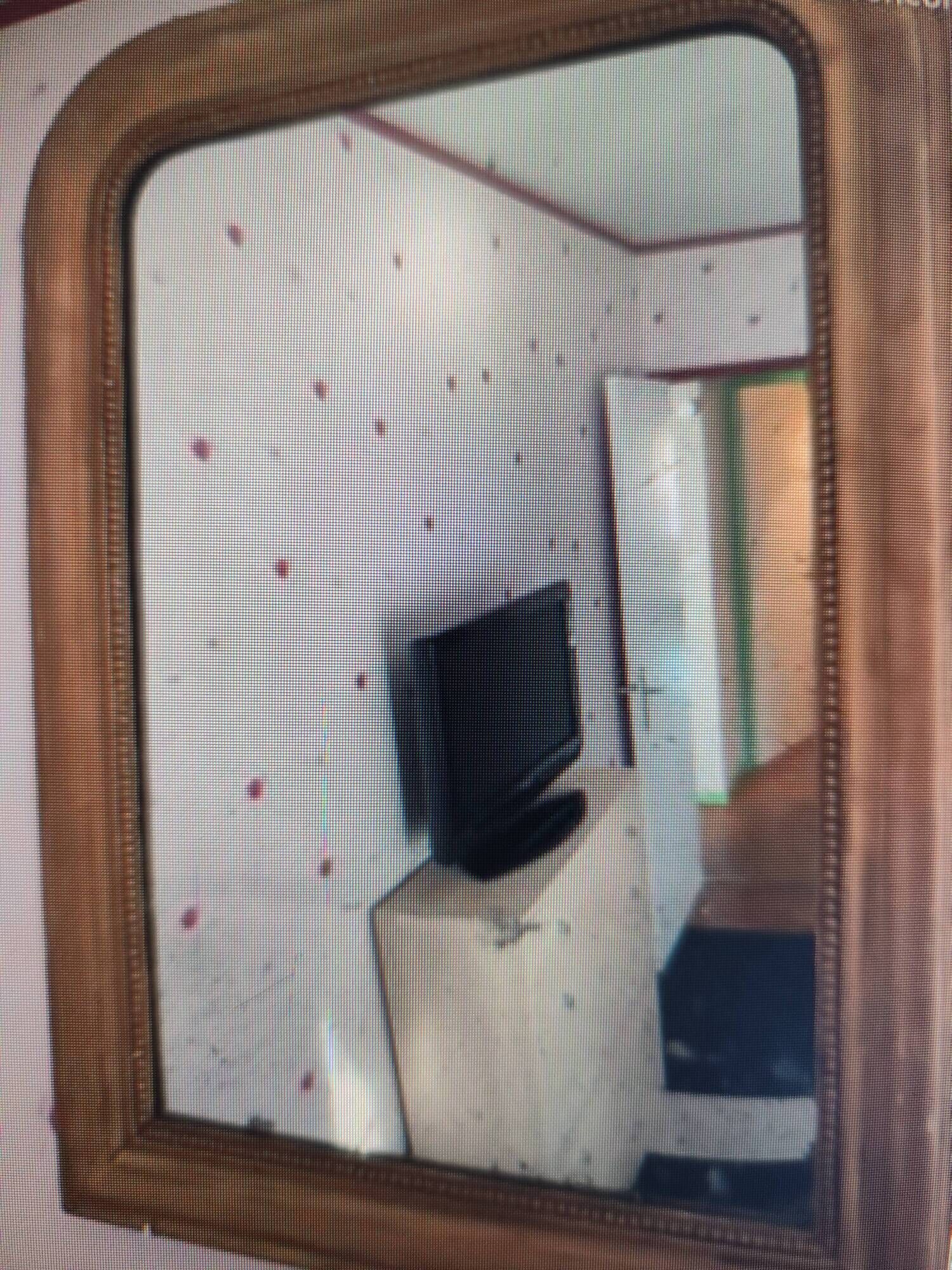 Antique Louis Philippe mirror, 19th century, mercury backing, wooden parquet back.