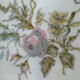 Limoges porcelain round dish for E.Bourgeois Paris