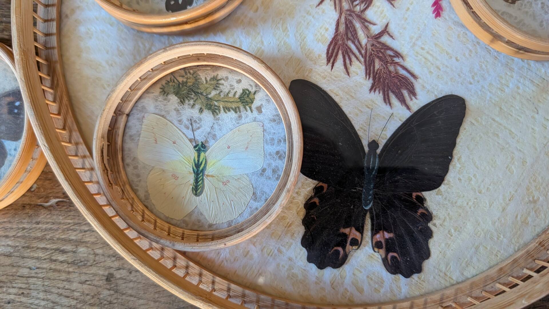 Vintage bamboo tray + 6 butterfly coasters from the 70s